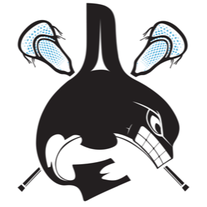Design 5